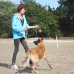 Isabelle Morphy pendant une séance de dressage chien (56) Auray Plouharnel, Pluvigner