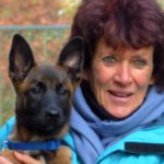 Isabelle Morphy comportementaliste canin Auray (Morbihan) et ses environs