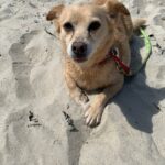 1247b2d7-9949-4514-b966-65ad1d5ce31d