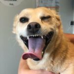 5f9691cd-7b09-460a-afd6-81605caf78f6