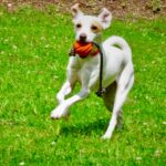 6eedb400-dc50-452a-8dba-668d2ea62d17