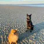 95ca4ed2-453c-4ed8-beac-ab750420d780