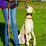 e7b8a2e1-19ff-4505-bfdd-f7c8211e2ff9