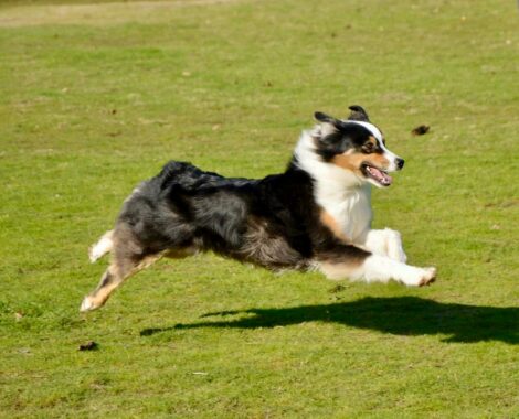 834e965a-f249-42bb-96c3-bed8851c326d