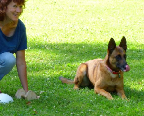 Isabelle Morphy, educateur canin à Auray, Quiberon, Crac'h,